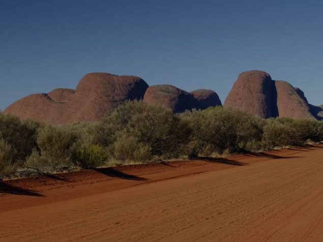 Digitise indigenous archives